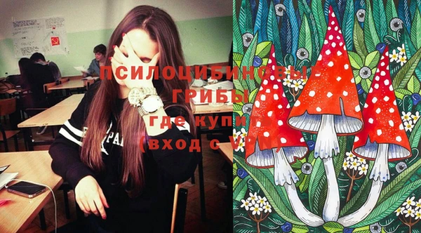 круглые Бронницы